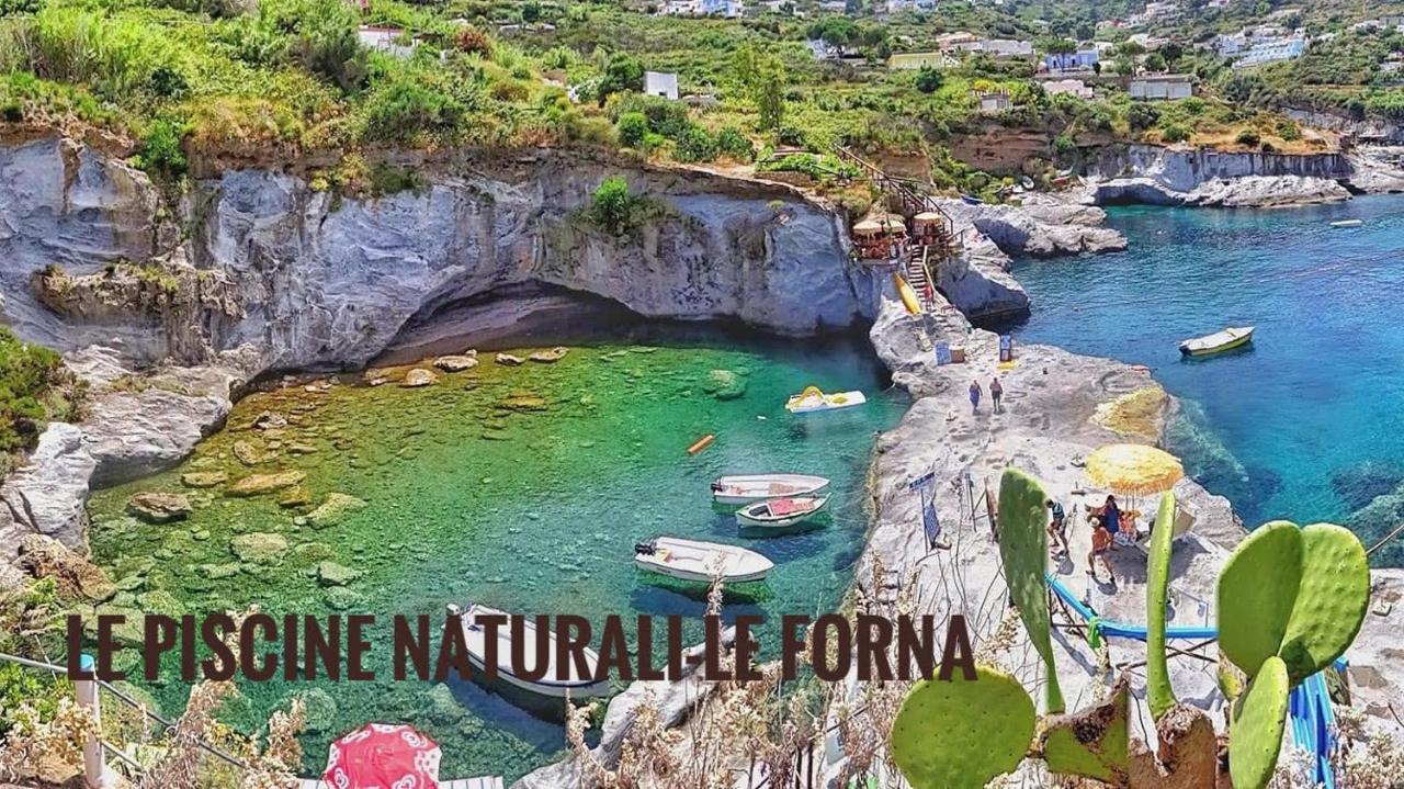 Ponzamania Appartamenti ,,Belvedere" Ponza Eksteriør billede